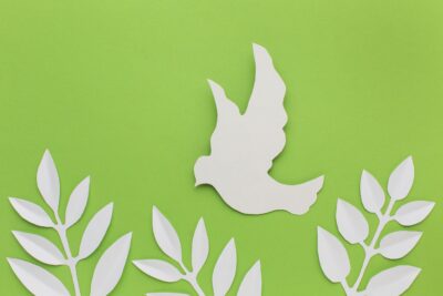 top-view-paper-dove-leaves